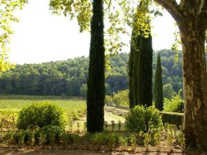 Maisons de vacances Holiday Home in Var with Private Pool : photos des chambres