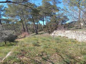 Maisons de vacances Holiday Home in Var with Private Pool : photos des chambres