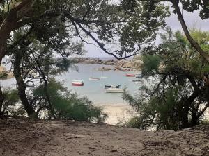 Maisons de vacances Charme & confort, Mer a 200m, grand jardin, GR34 : photos des chambres