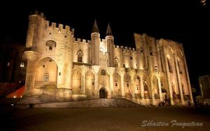 Appart'hotels Appart'hotel Residella House Room & Kitchen Avignon Le Pontet : photos des chambres