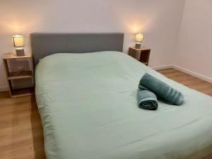 Appartements Quiet apartment - Touraine : photos des chambres