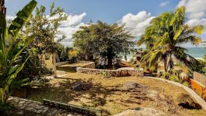 Las Olas Litibu Apartment