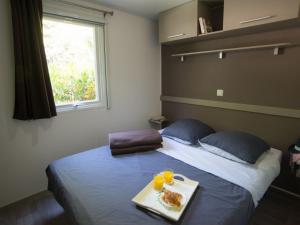 Camping Le Grau-du-Roi