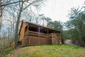 Bear Paws By Colonial Properties