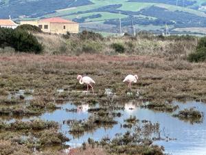 Via Roma House Casetta img35