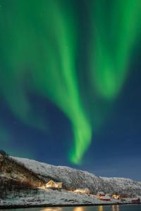 Cozy home on the island of Senja with sea views