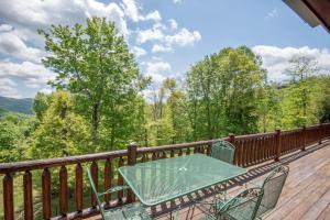VIEWS, Fire Pit, Dogs Welcome, Fenced Yard! Close to New River Outfitters!