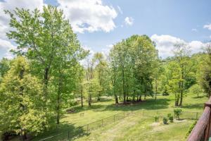 VIEWS, Fire Pit, Dogs Welcome, Fenced Yard! Close to New River Outfitters!