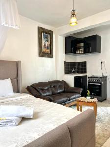 Spacious studio Apt Milimani