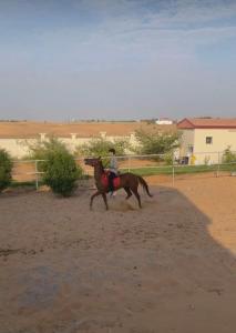 مزرعة العائلة