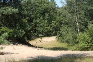 Sfeervolle woodlodge op 5 sterren vakantiepark Krieghuusbelten