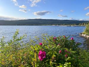 Snåsa Bryggehage - Top apartment