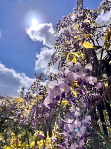 B&B La Panoramica img29