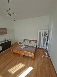 Dietla 57, studio apartment, apartment 17a, Jason