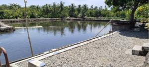 Villa Catalina Bora Family Room Resort