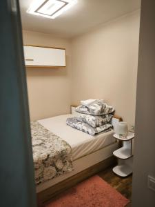 Border studio Aleksandri