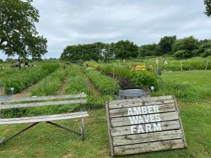 Walkable Designer Home in East Hampton Village!