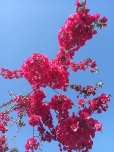 Casa Veranera para Disfrutar en Cualquier Ocasión