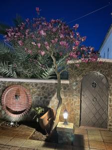 Kobuleti VILLA SKAZOCNI DVORIK VIP