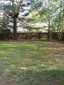 Spacious Antique Charm Home by Leavetown Vacations