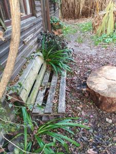 Mama Killa Neptunia Eco hostel