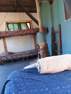 Mama Killa Neptunia Eco hostel