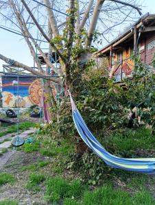 Mama Killa Neptunia Eco hostel