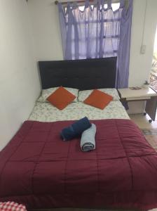 Amanecer Campestre bajo el Ceibo