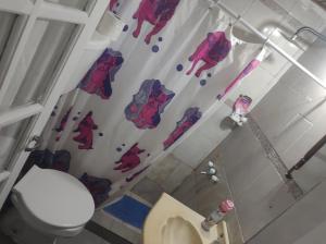 Amanecer Campestre bajo el Ceibo