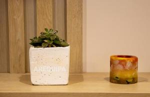 Magical Colorful Sunsets in Cayma