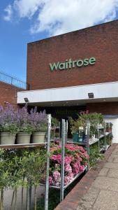 Reverie Escape by Halisi