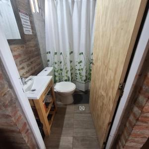 Alojamientos Copihue