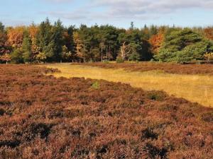 4 star holiday home in Bogense-By Traum