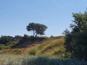 6 person holiday home in Brenderup Fyn-By Traum