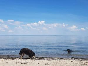 6 person holiday home in Brenderup Fyn-By Traum