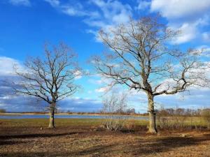 5 person holiday home in Bogense-By Traum