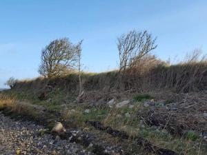 4 person holiday home in Bogense-By Traum