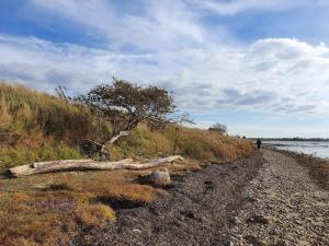 4 person holiday home in Bogense-By Traum