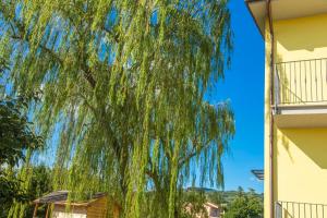 Willows House Assisi Big house for Family and friends