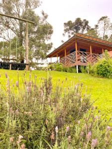 Chalé Serrano com vista para as montanhas