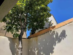 Appartements Le Faubourg : photos des chambres