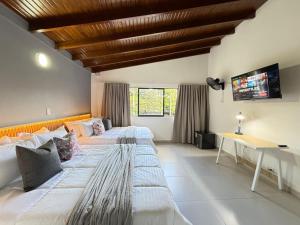 Laureles Boutique Stay