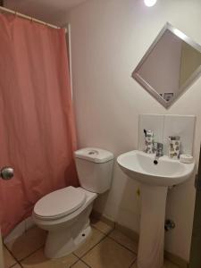 Habitación privada en departamento compartido