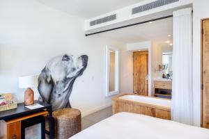 Hotel El Ganzo - Adults Only