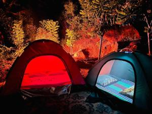 Cindrella Sky Nest Camp Ella