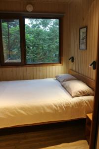 Modular House Green Zyland Y