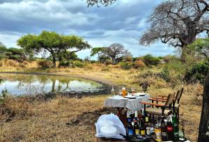 Tarangire Greenland Retreat