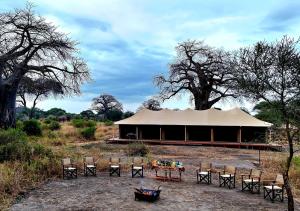 Tarangire Greenland Retreat