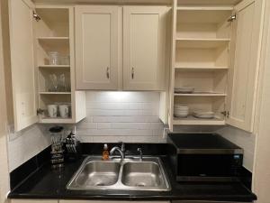 Cozy Condo Near Med Center, NRG Stadium, & Rail line