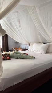 Buena Vibra Bungalows